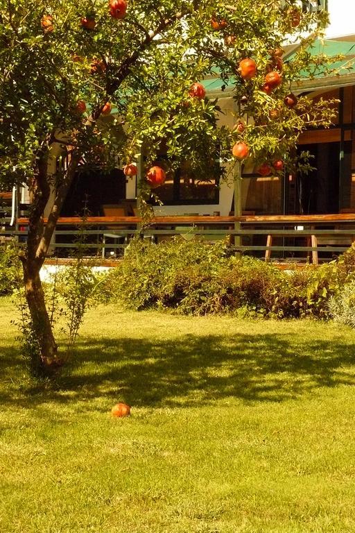 Trogirsunset Apartments 외부 사진